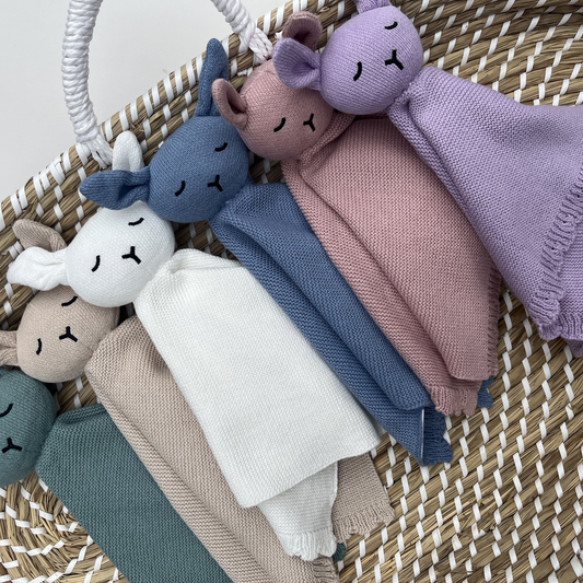 Personalised Teddy Comforters